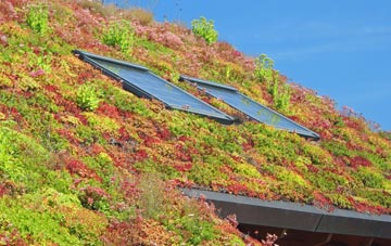 West Tarring living roof systems